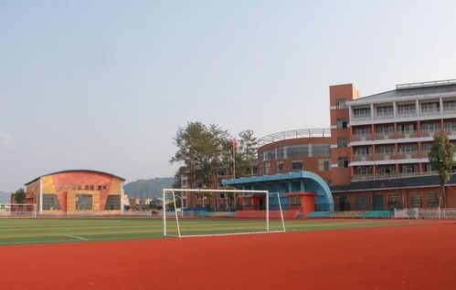松阳实验小学