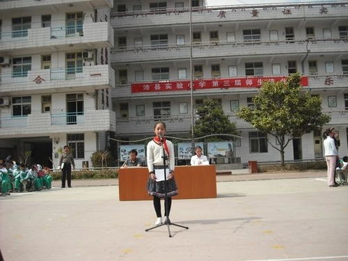 沛县实验小学