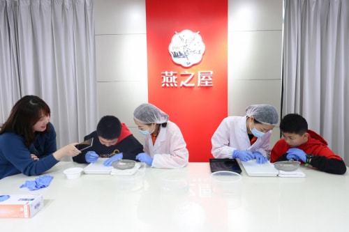 高品质燕窝背后故事 厦门实验小学社会实践队走进燕之屋透明工厂