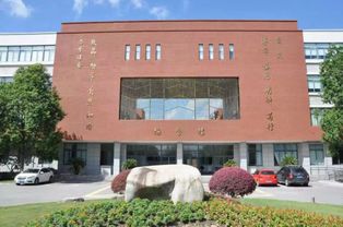 松江区新增3个教育集团 都有哪些成员学校