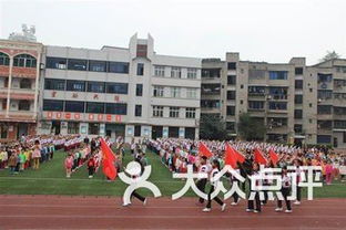 玉屏实验小学课程 价格 简介 怎么样 荣昌区学习培训