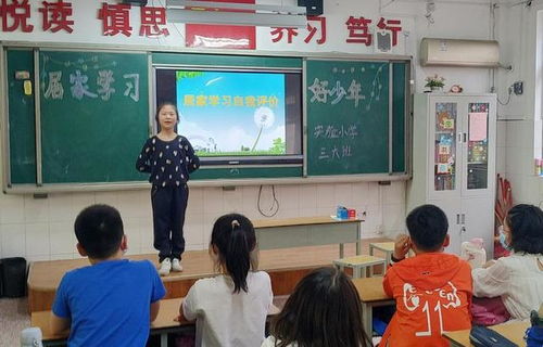 驻马店实验小学开展 居家学习好少年 评选活动