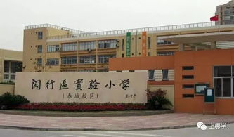 碾压民办 上海10大最鸡血的公办小学 卯足劲的鸡,今年大规模扩招