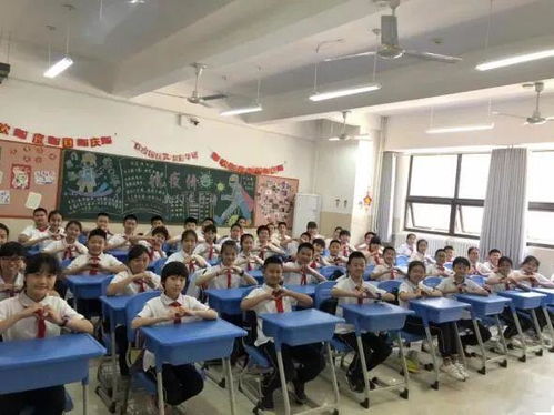 春风十里,不如校园里有你——实验小学